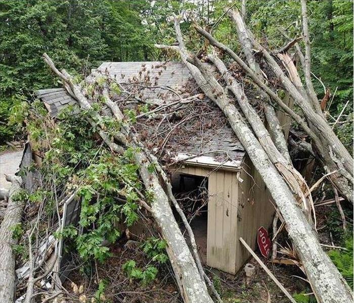 trees topple over house