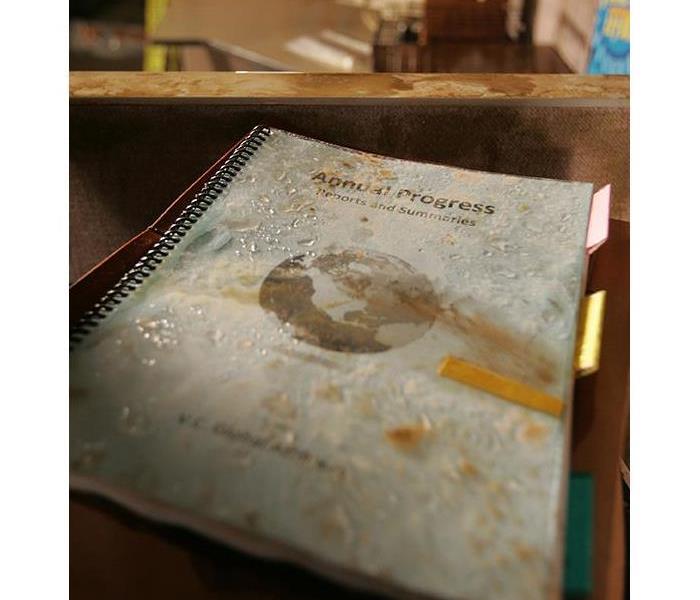 Water Damaged Book