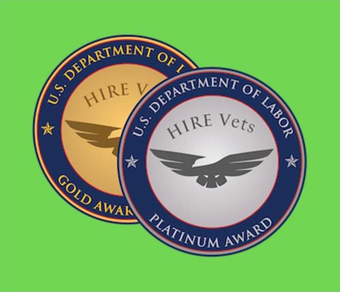 HIRE Award medallion