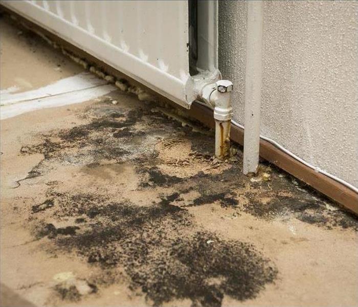 Mold grows on a floor by a radiator pipe